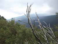 nte Rinatu-20110615 076